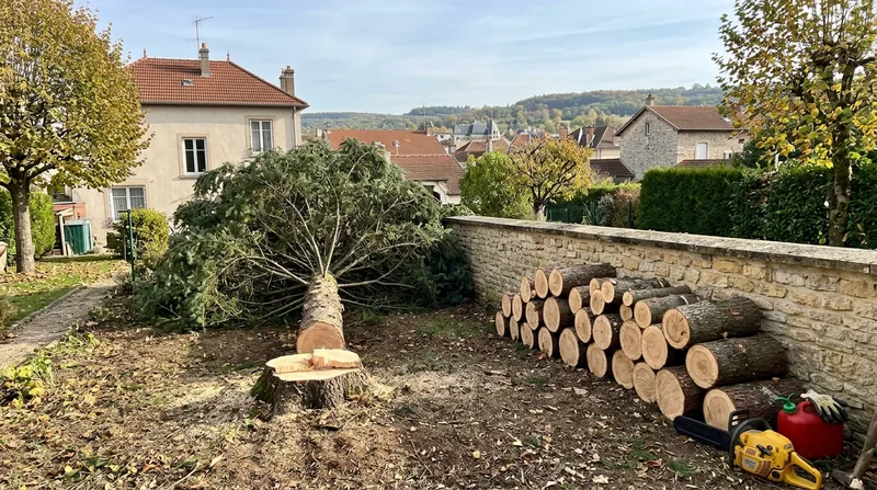 Abattage d'arbre Nancy